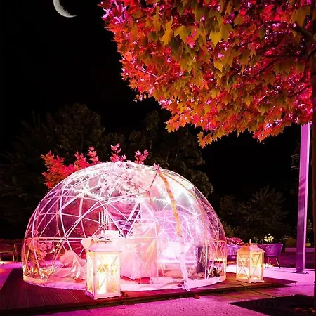 Hotel Rose