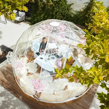 Rose Hotel